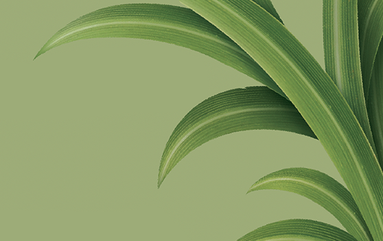 banner__help